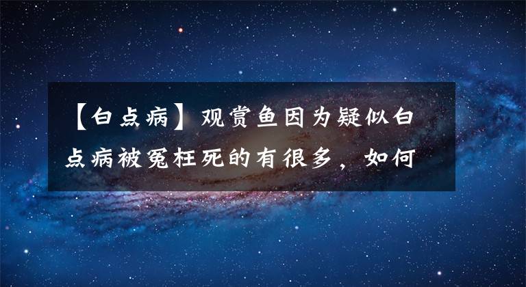 【白点病】观赏鱼因为疑似白点病被冤枉死的有很多，如何精确判断？