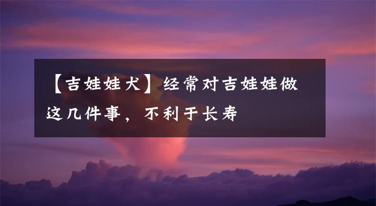 【吉娃娃犬】经常对吉娃娃做这几件事，不利于长寿