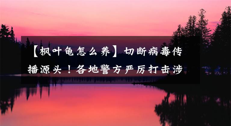 【枫叶龟怎么养】切断病毒传播源头！各地警方严厉打击涉野生动物违法犯罪