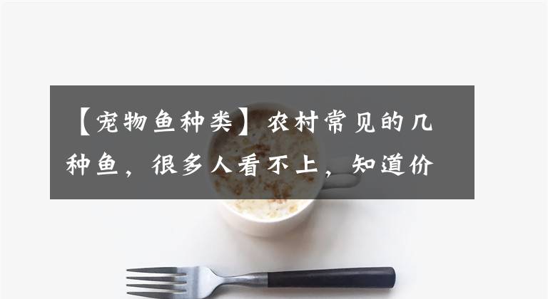 【宠物鱼种类】农村常见的几种鱼，很多人看不上，知道价格后直呼错过几个亿