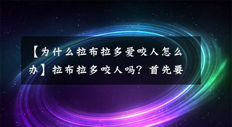 【为什么拉布拉多爱咬人怎么办】拉布拉多咬人吗？首先要阻止。