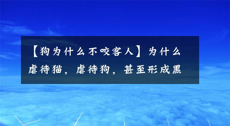 【狗为什么不咬客人】为什么虐待猫，虐待狗，甚至形成黑色产业链？