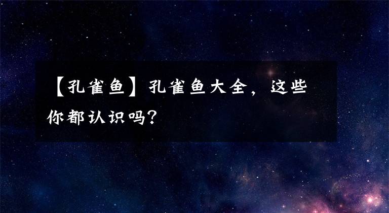 【孔雀鱼】孔雀鱼大全，这些你都认识吗？