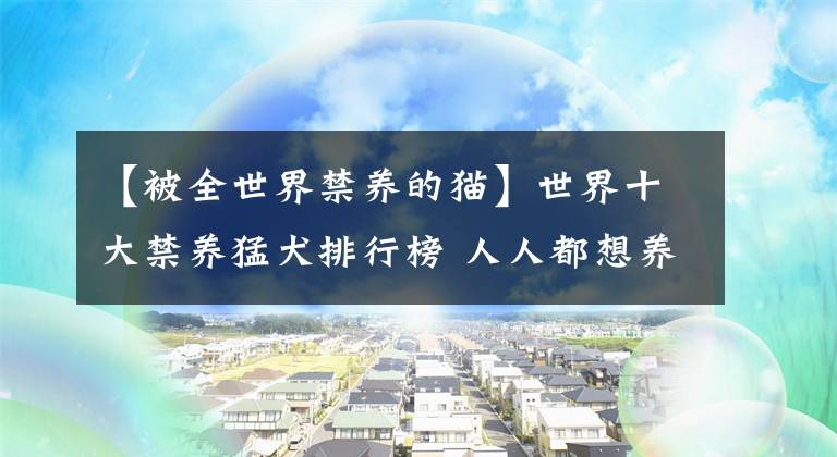 【被全世界禁养的猫】世界十大禁养猛犬排行榜 人人都想养但却被禁的十大犬种