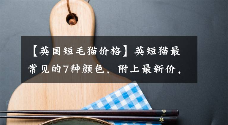 【英国短毛猫价格】英短猫最常见的7种颜色，附上最新价，不要买贵了