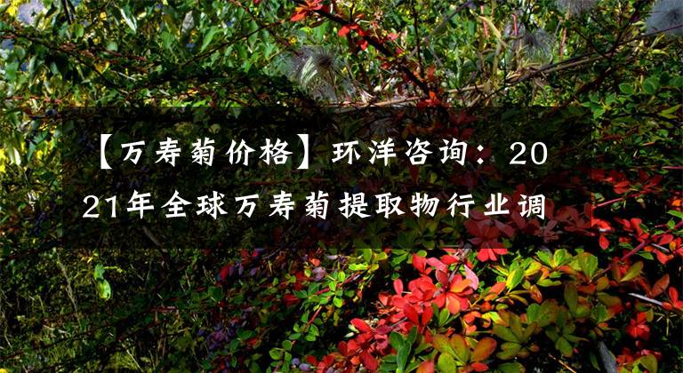 【万寿菊价格】环洋咨询：2021年全球万寿菊提取物行业调研及趋势分析报告