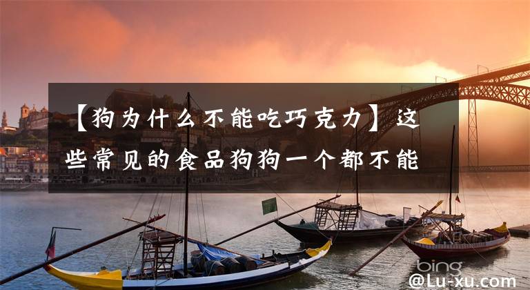 【狗为什么不能吃巧克力】这些常见的食品狗狗一个都不能碰，严重的可以导致狗狗死亡