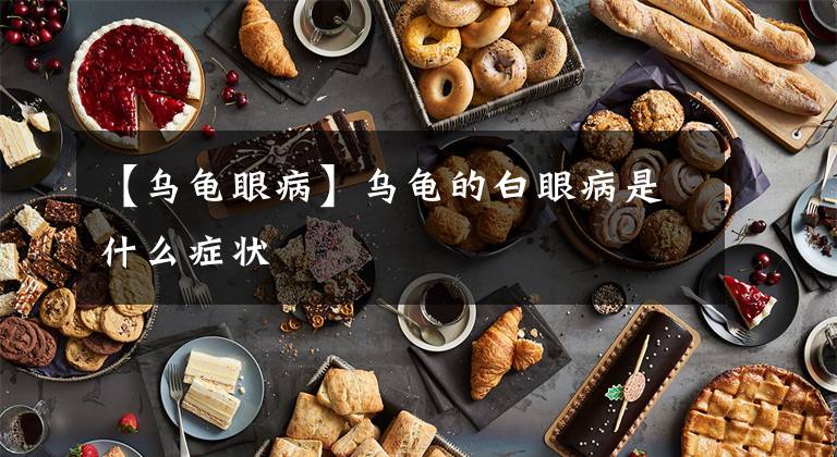 【乌龟眼病】乌龟的白眼病是什么症状