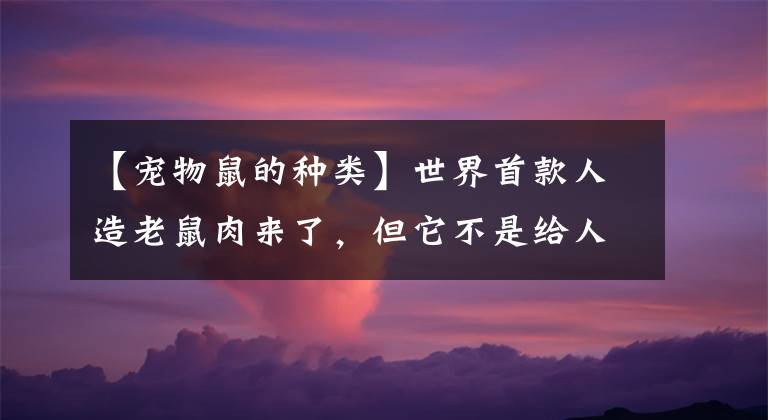 【宠物鼠的种类】世界首款人造老鼠肉来了，但它不是给人吃的