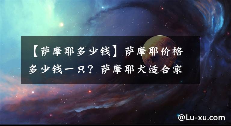 【萨摩耶多少钱】萨摩耶价格多少钱一只？萨摩耶犬适合家养吗？