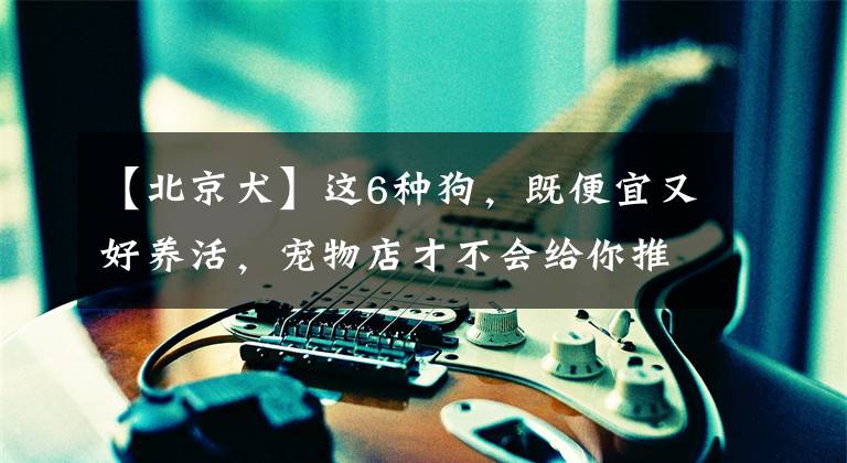 【北京犬】这6种狗，既便宜又好养活，宠物店才不会给你推荐