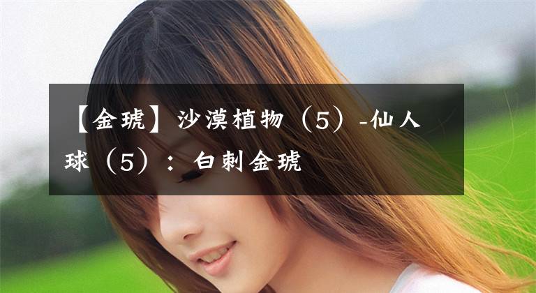 【金琥】沙漠植物（5）-仙人球（5）：白刺金琥