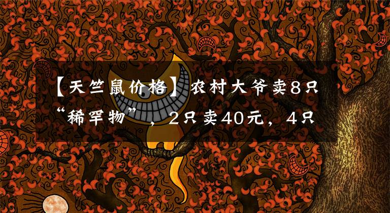 【天竺鼠价格】农村大爷卖8只“稀罕物”，2只卖40元，4只卖20元，摊主：赚大了