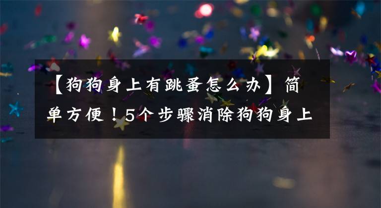 【狗狗身上有跳蚤怎么办】简单方便！5个步骤消除狗狗身上的跳蚤