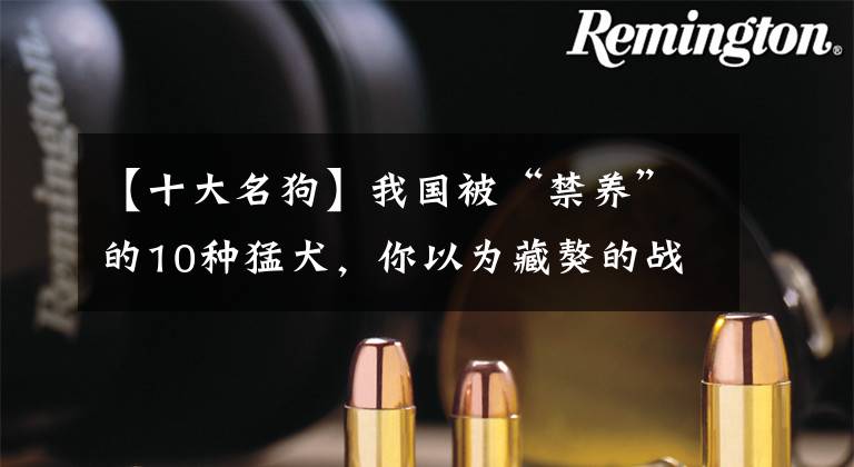 【十大名狗】我国被“禁养”的10种猛犬，你以为藏獒的战斗力真的很弱吗？