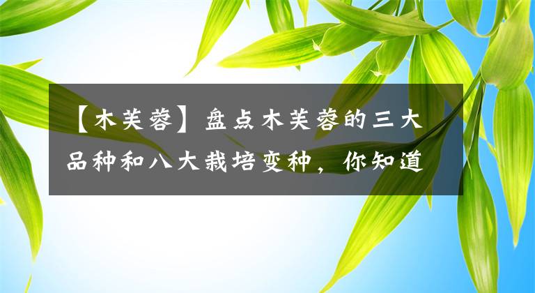【木芙蓉】盘点木芙蓉的三大品种和八大栽培变种，你知道几个？