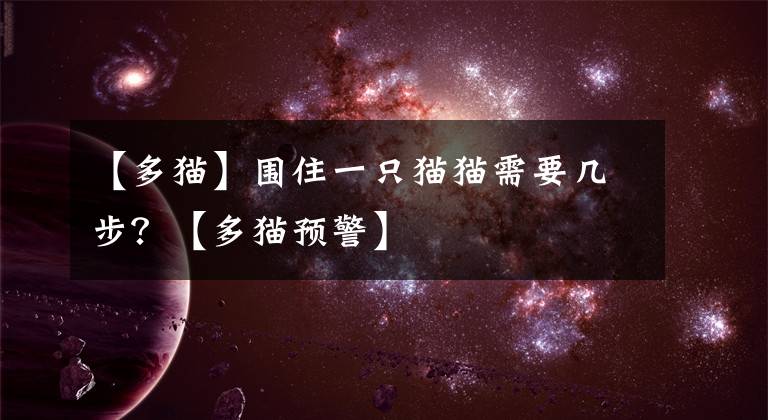【多猫】围住一只猫猫需要几步？【多猫预警】