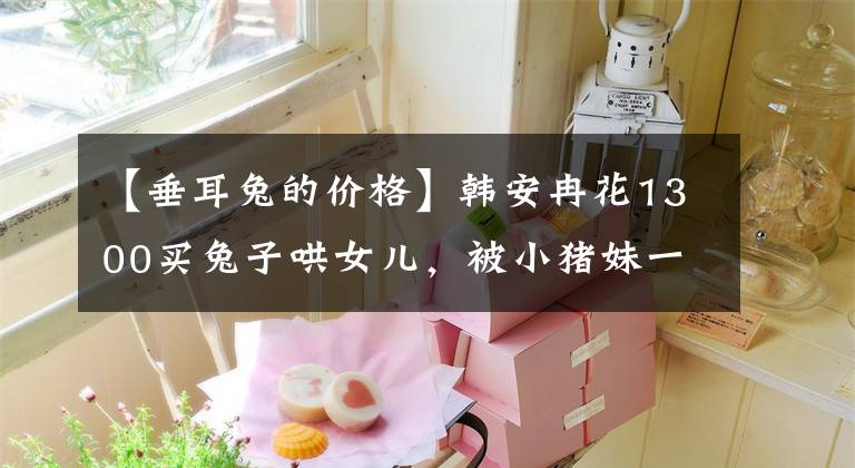 【垂耳兔的价格】韩安冉花1300买兔子哄女儿，被小猪妹一天养死，网友：当个人吧