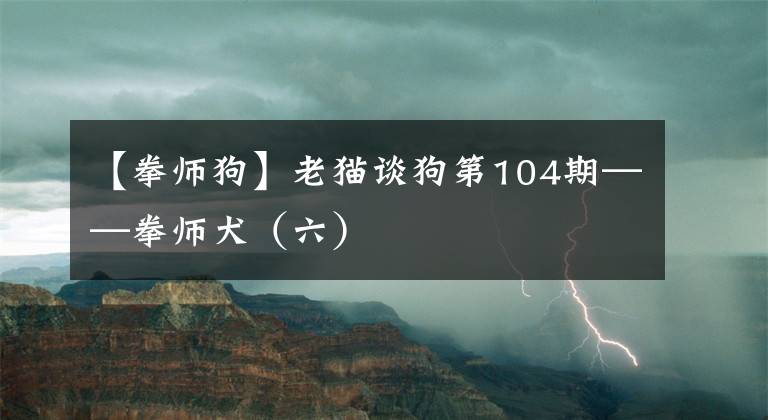 【拳师狗】老猫谈狗第104期——拳师犬（六）