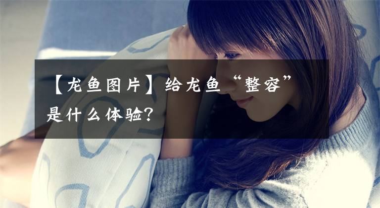 【龙鱼图片】给龙鱼“整容”是什么体验？