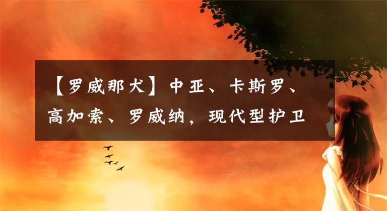 【罗威那犬】中亚、卡斯罗、高加索、罗威纳，现代型护卫犬中的四大金刚