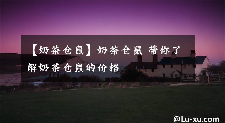 【奶茶仓鼠】奶茶仓鼠 带你了解奶茶仓鼠的价格