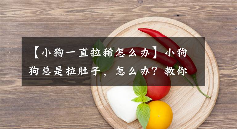 【小狗一直拉稀怎么办】小狗狗总是拉肚子，怎么办？教你这个方法绝对有用
