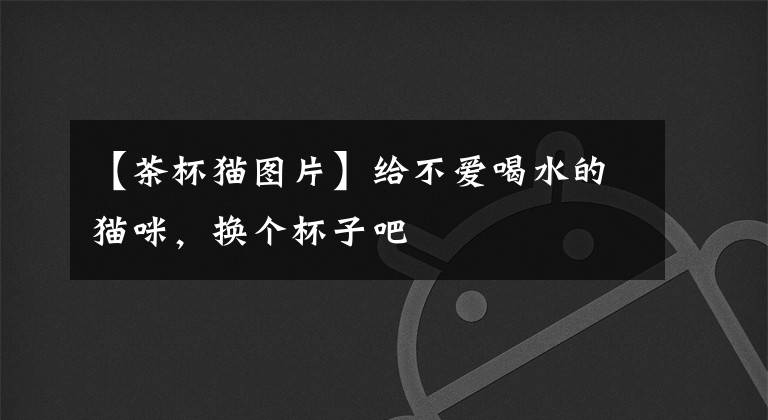 【茶杯猫图片】给不爱喝水的猫咪，换个杯子吧