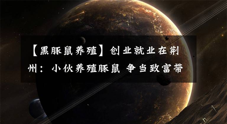 【黑豚鼠养殖】创业就业在荆州：小伙养殖豚鼠 争当致富带头人