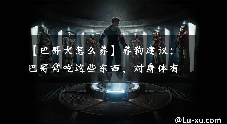 【巴哥犬怎么养】养狗建议：巴哥常吃这些东西，对身体有好处