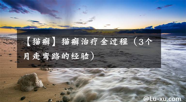 【猫癣】猫癣治疗全过程（3个月走弯路的经验）