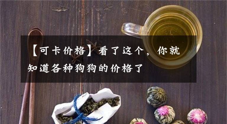 【可卡价格】看了这个，你就知道各种狗狗的价格了