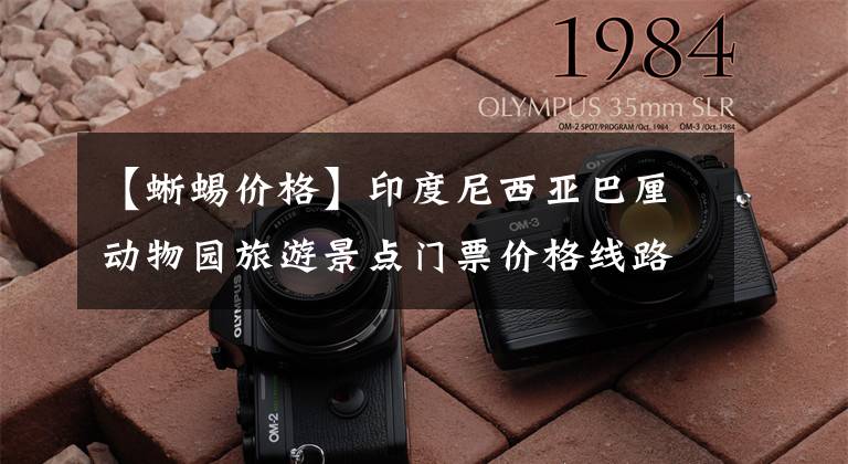 【蜥蜴价格】印度尼西亚巴厘动物园旅游景点门票价格线路介绍