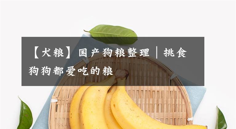 【犬粮】国产狗粮整理｜挑食狗狗都爱吃的粮