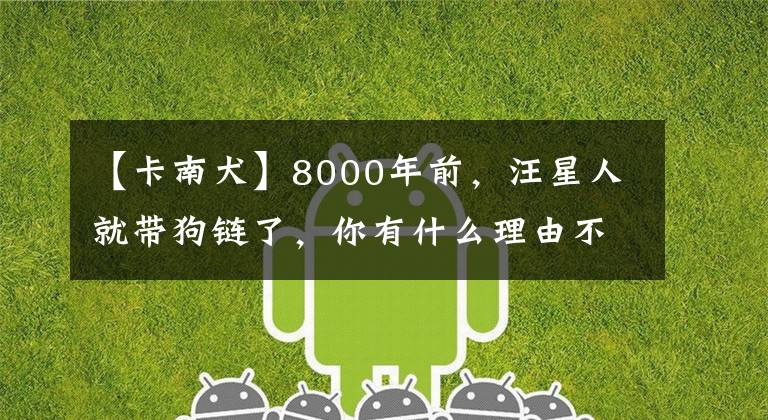 【卡南犬】8000年前，汪星人就带狗链了，你有什么理由不栓绳？