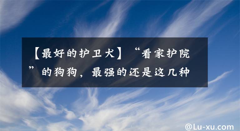 【最好的护卫犬】“看家护院”的狗狗，最强的还是这几种