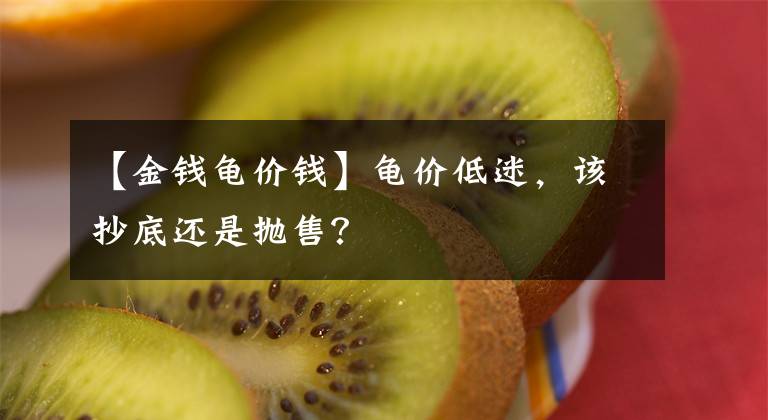 【金钱龟价钱】龟价低迷，该抄底还是抛售？