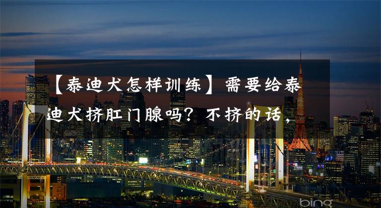 【泰迪犬怎样训练】需要给泰迪犬挤肛门腺吗？不挤的话，会有什么后果？