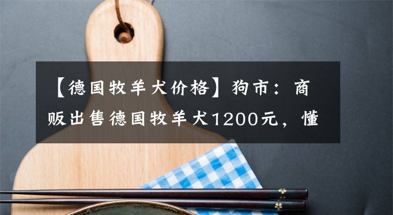 【德国牧羊犬价格】狗市：商贩出售德国牧羊犬1200元，懂事的孩子看着父亲表态！