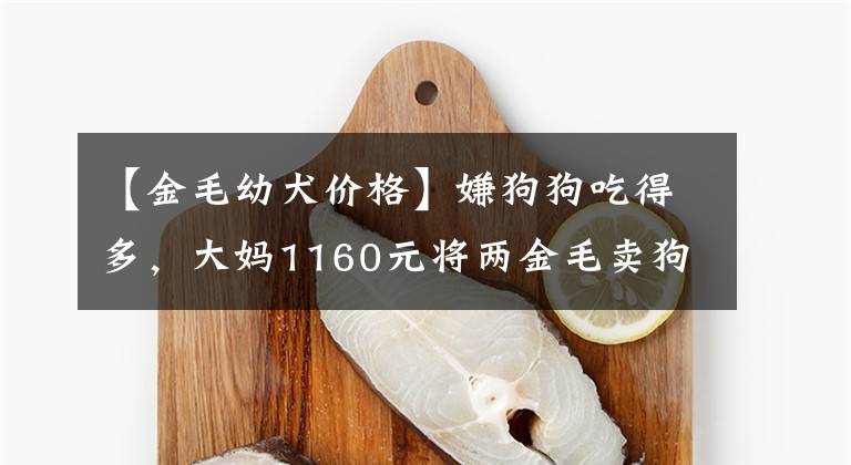 【金毛幼犬价格】嫌狗狗吃得多，大妈1160元将两金毛卖狗肉车，大妈：喂得烦死了