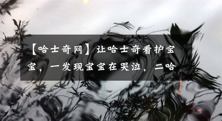 【哈士奇网】让哈士奇看护宝宝，一发现宝宝在哭泣，二哈反应让人笑喷