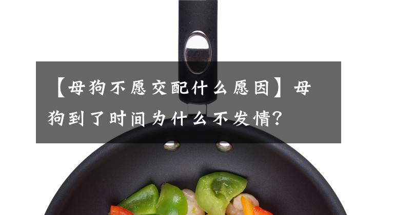 【母狗不愿交配什么愿因】母狗到了时间为什么不发情？