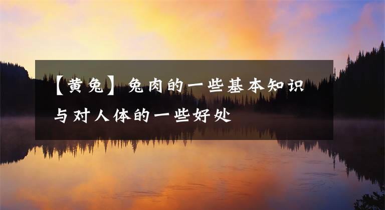 【黄兔】兔肉的一些基本知识 与对人体的一些好处