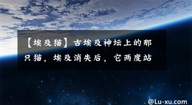 【埃及猫】古埃及神坛上的那只猫，埃及消失后，它两度站在灭绝的边缘