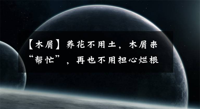 【木屑】养花不用土，木屑来“帮忙”，再也不用担心烂根