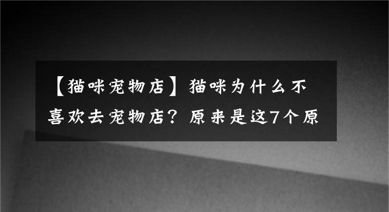 【猫咪宠物店】猫咪为什么不喜欢去宠物店？原来是这7个原因