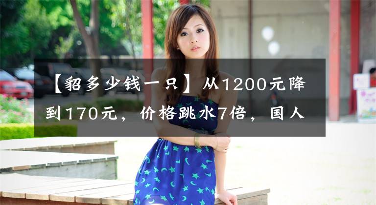 【貂多少钱一只】从1200元降到170元，价格跳水7倍，国人为何不再热衷皮草