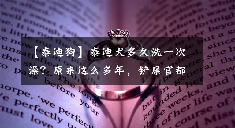 【泰迪狗】泰迪犬多久洗一次澡？原来这么多年，铲屎官都错了