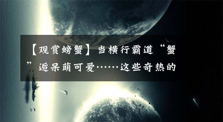 【观赏螃蟹】当横行霸道“蟹”逅呆萌可爱……这些奇热的观赏蟹不了解一下？(*╹▽╹*)