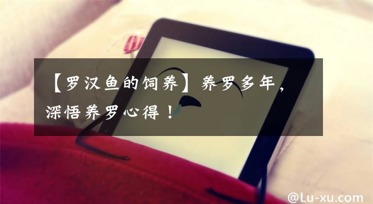 【罗汉鱼的饲养】养罗多年，深悟养罗心得！